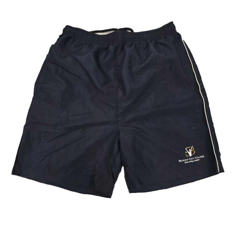 Microfibre Shorts
